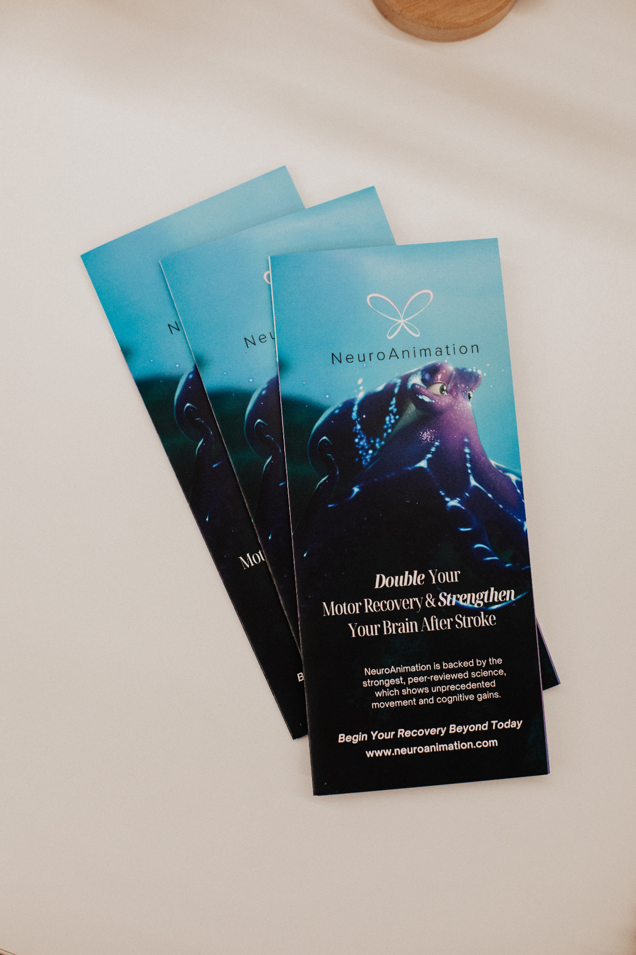 NeuroAnimation patient brochures